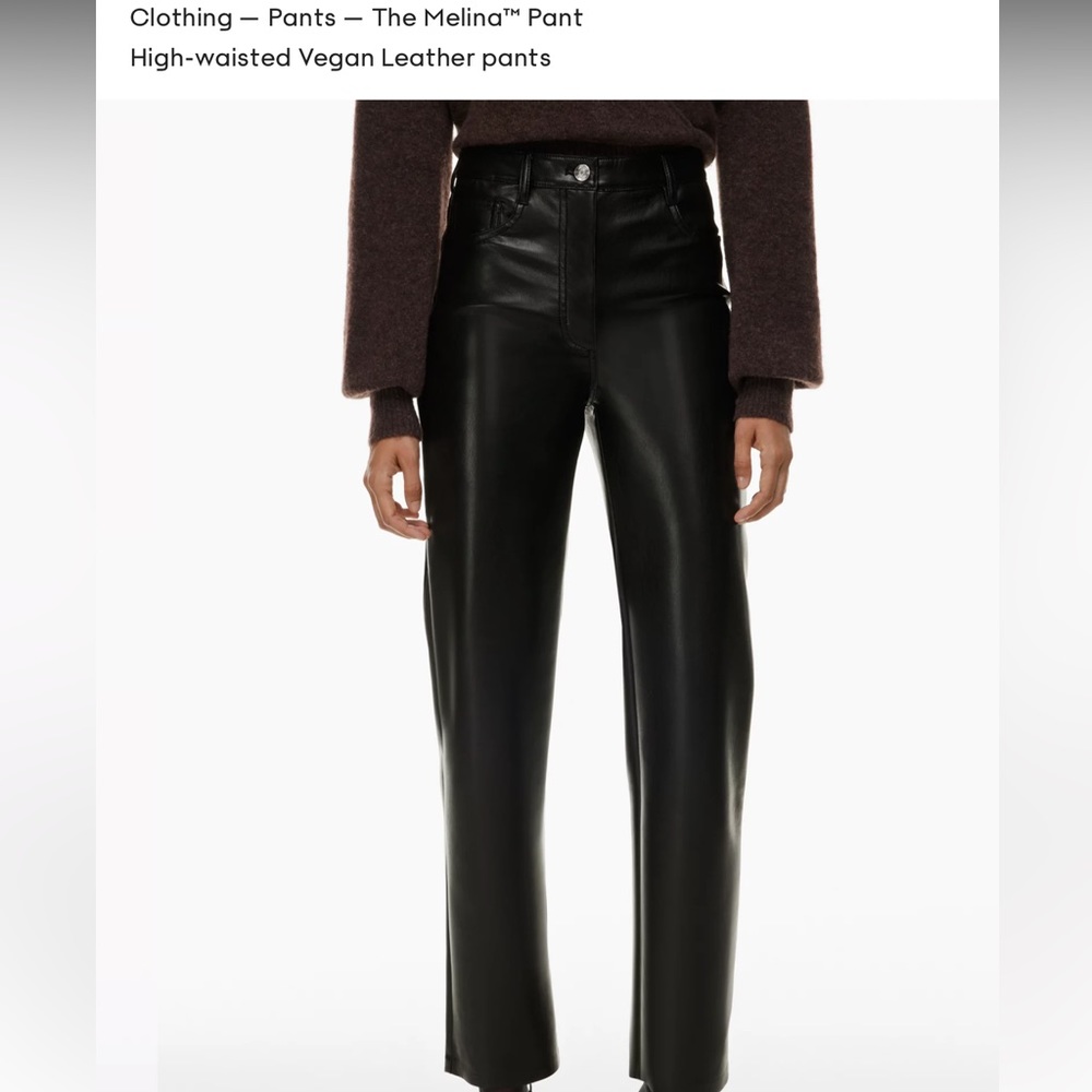 Aritzia Wilfred Melina Pant